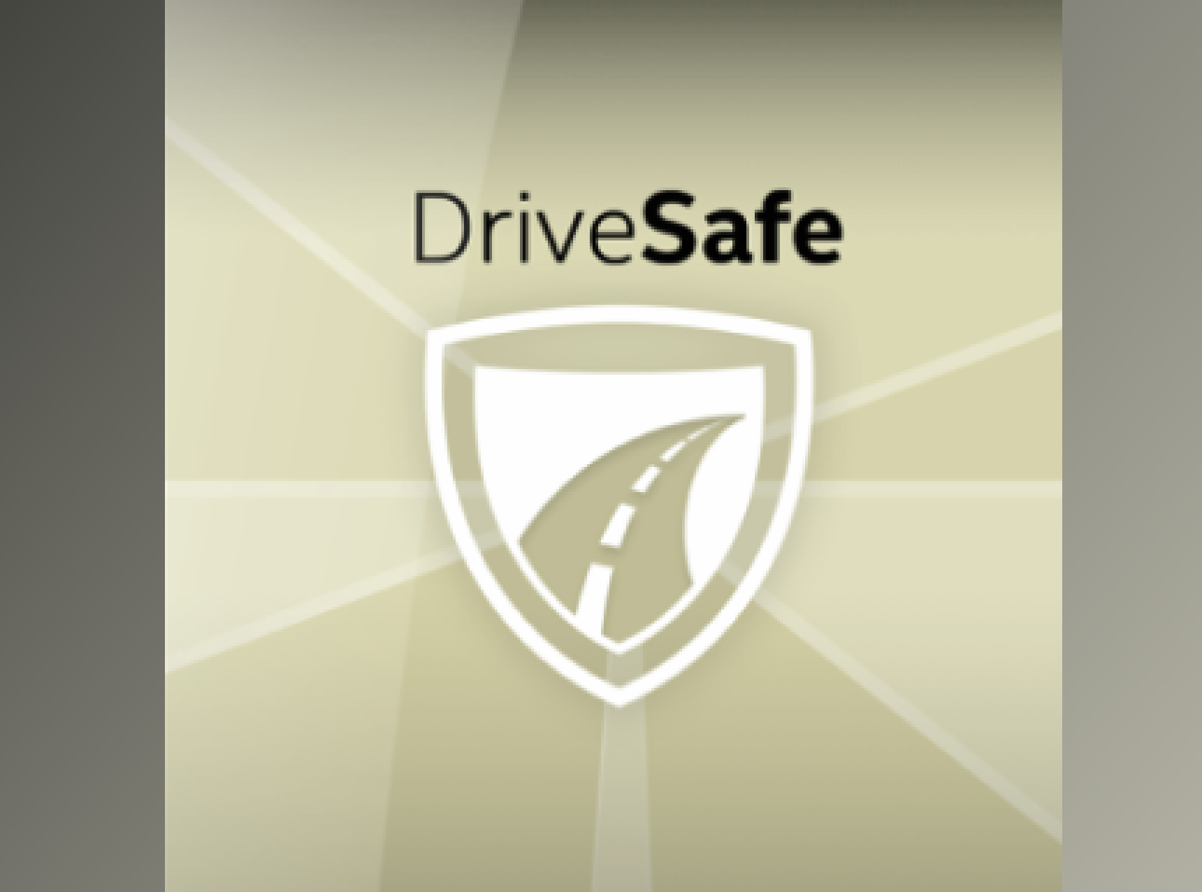 McAfee DriveSafe