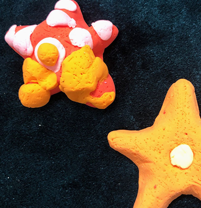 Diana clay starfish artwork