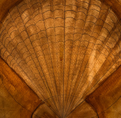 Mark Shell artwork