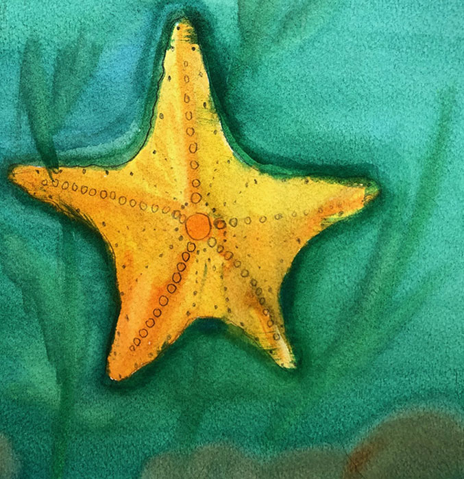Mark starfish artwork