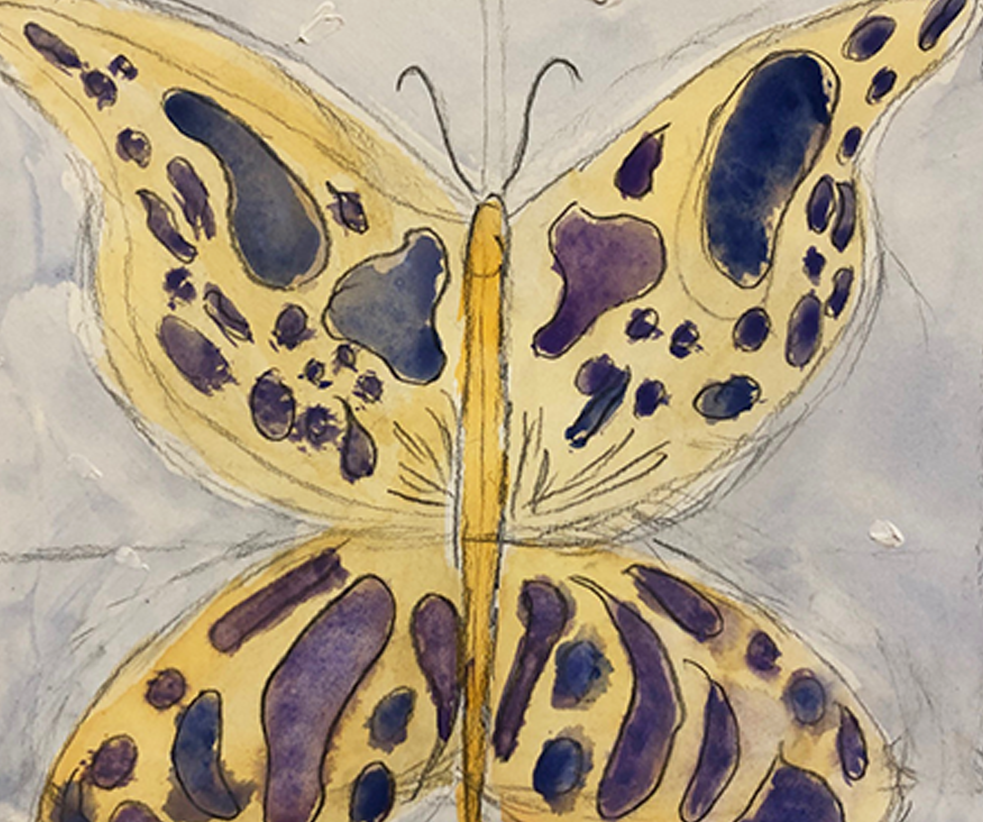 Nyra Butterfly artwork