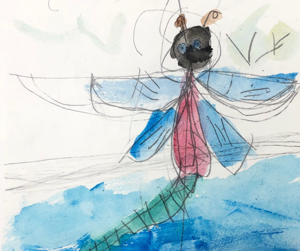 Ruthvik Dragonfly artwork