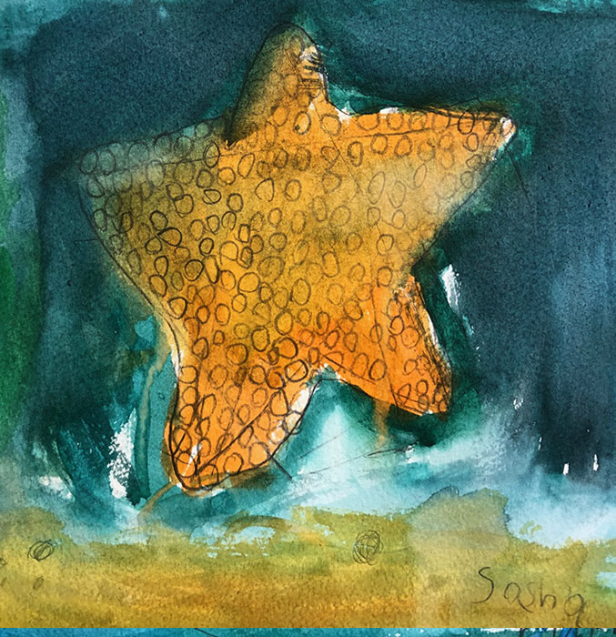 Sasha starfish artwork