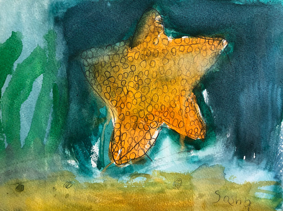 Sasha Starfish artwork full size